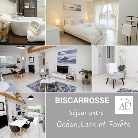 Ravissante Maison Cosy 4* Biscarrosse Proche Lac Bagian luar foto